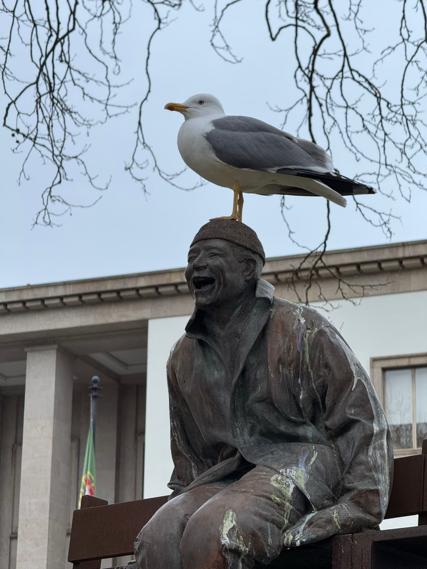 A seagull standing on the head of a Laughing man statue.