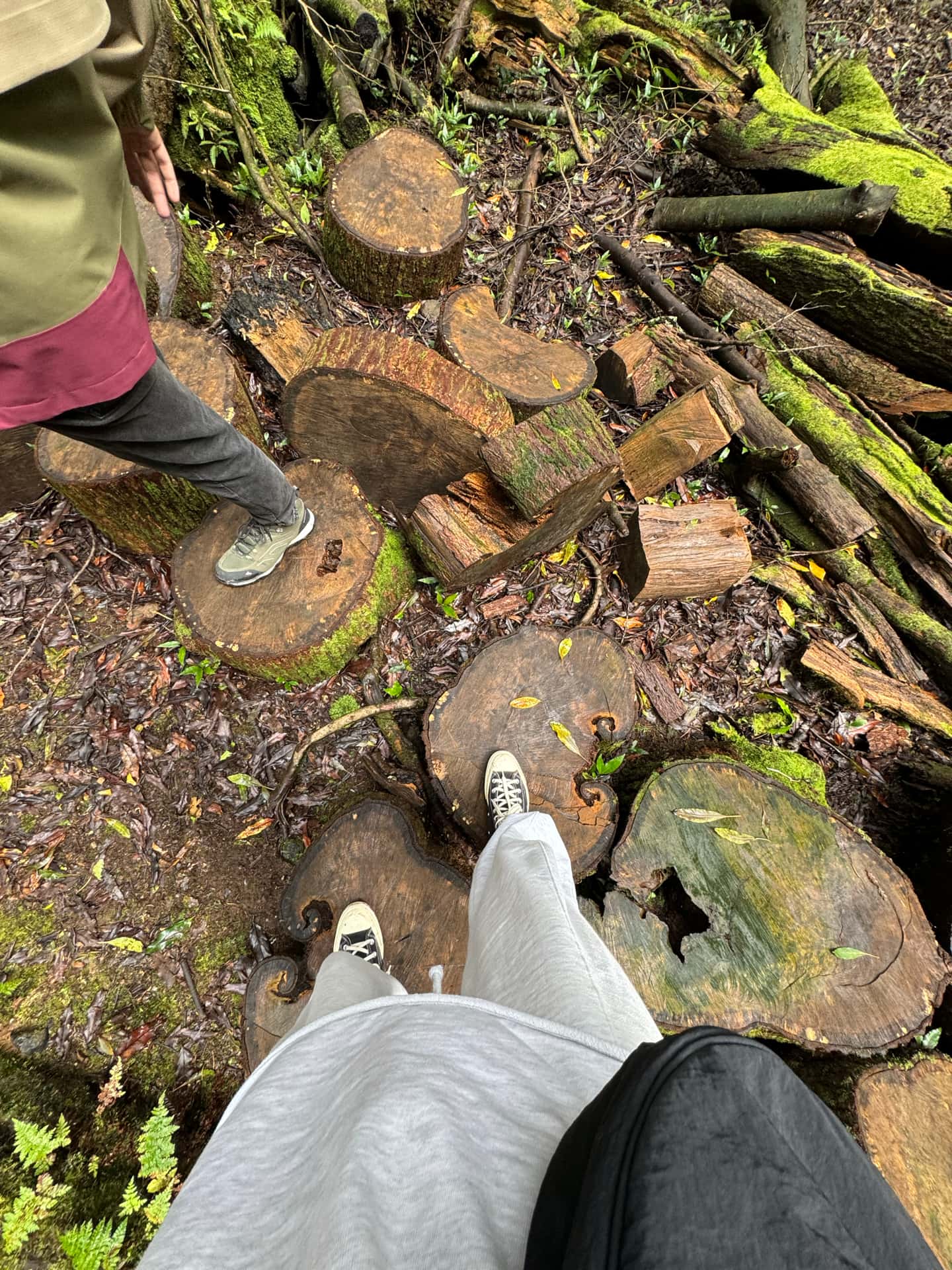 Pedro and Nina, finding inspiration wherever they look, even in the most unexpected places.